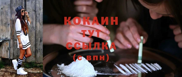 дживик Баксан