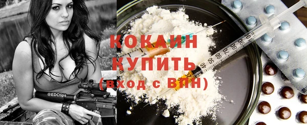 дживик Баксан
