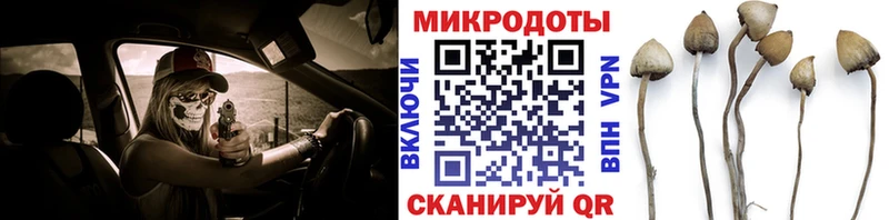 Псилоцибиновые грибы прущие грибы  даркнет сайт  Юрьевец 